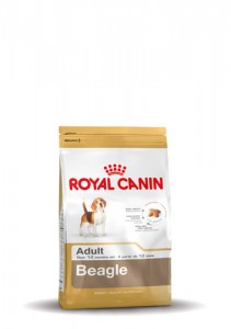 royal canin beagle